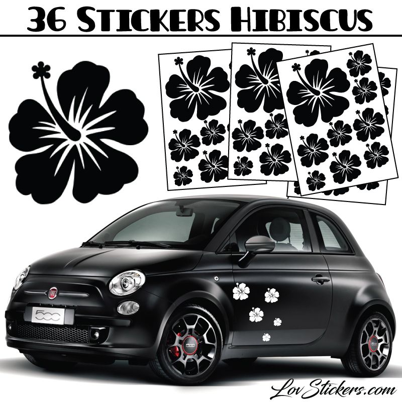 Kit de 36 Stickers d'Hibiscus - 19 Coloris