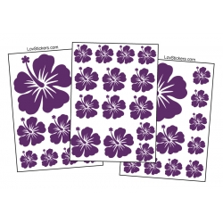 Stickers fleur Hibiscus pour la deco sur véhicule - LovStickers Orientation  - Sens Normal Couleur Exterieur Noir