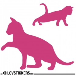 Stickers autocollant CHAT chaton colorÃ© plusieurs tailles, super